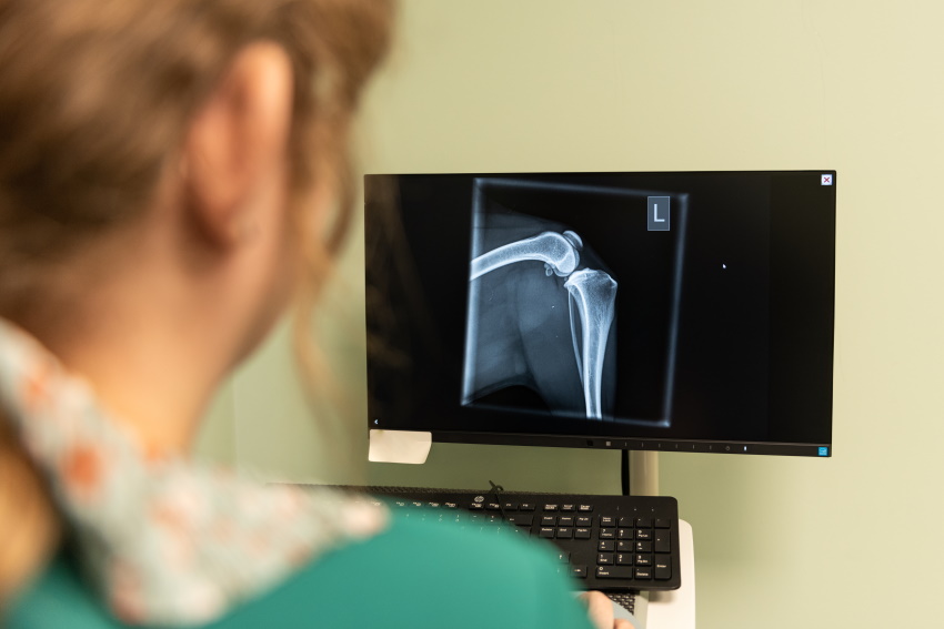 A Lanes nurse reviewing an X-ray on the monitor