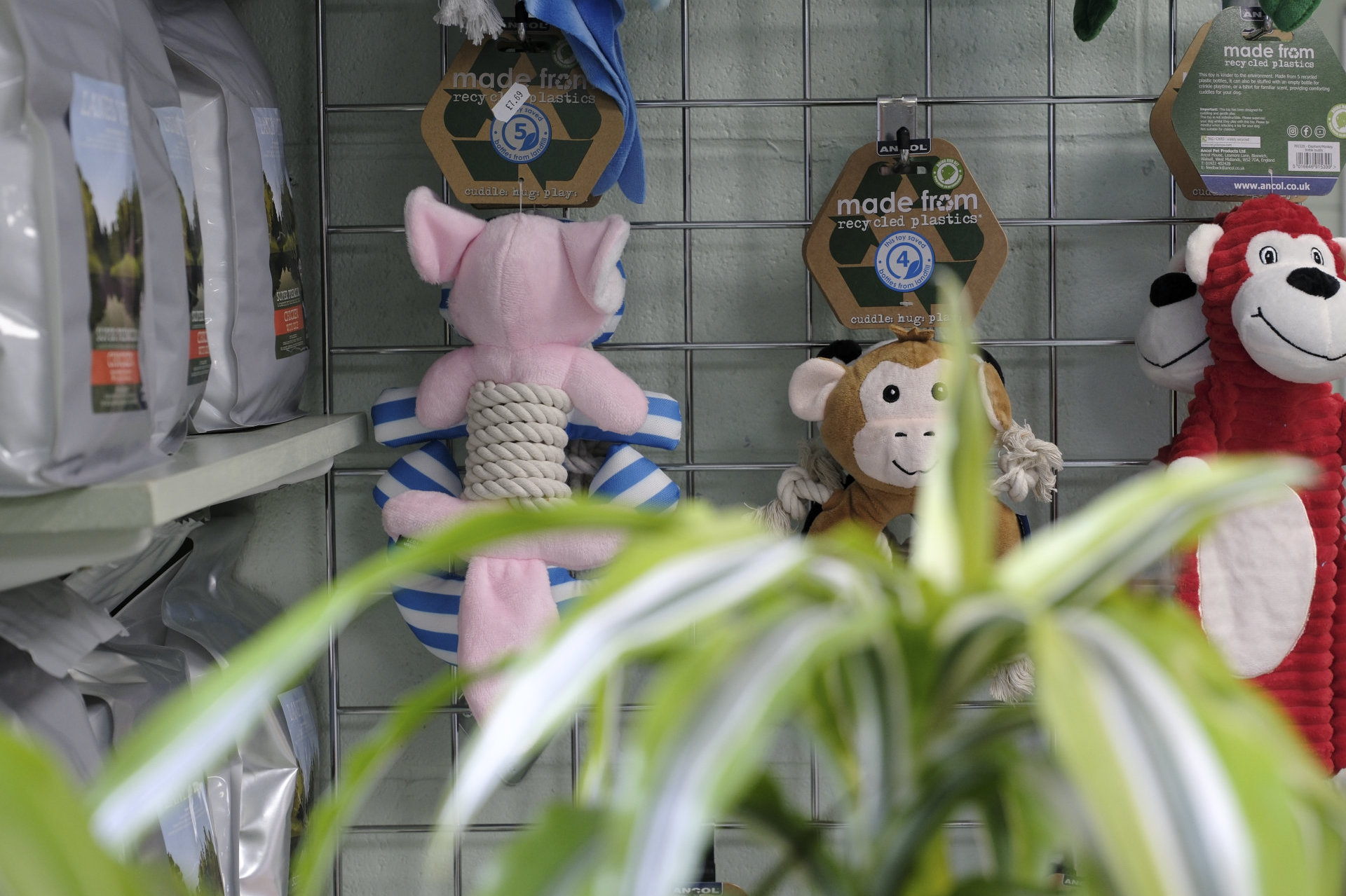 The pet shop display at Lanes