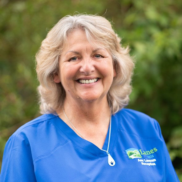 Ann Lansom
