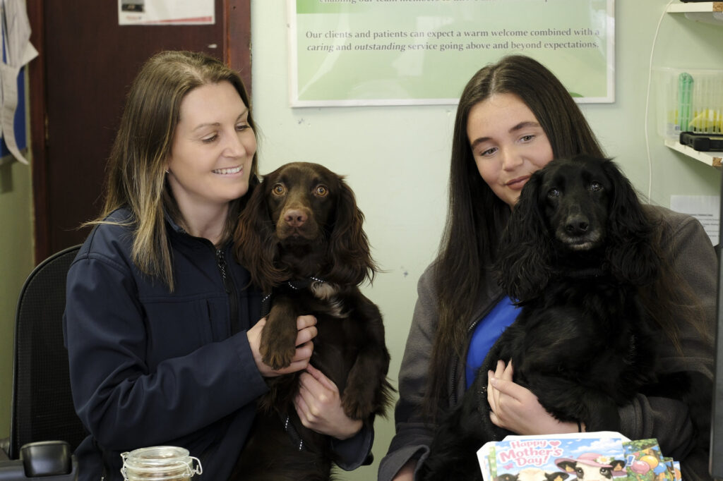 A family with their pets. VidiVet is included for registered clients