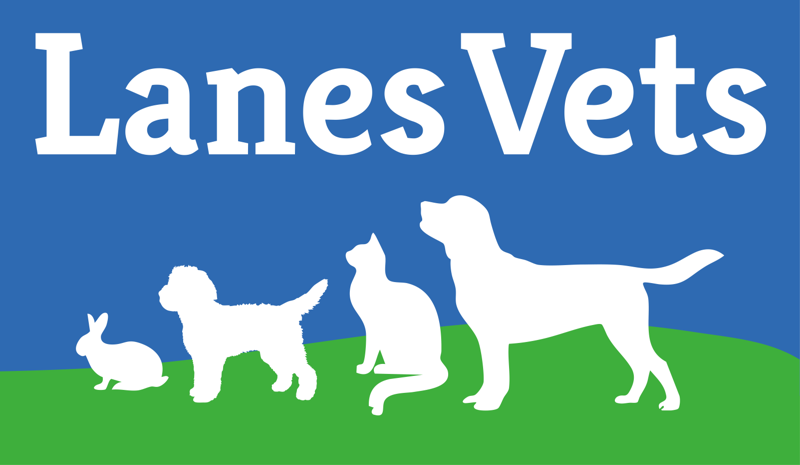 Lanes Vets