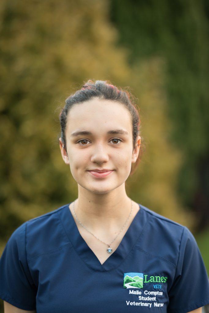 Maile Crompton