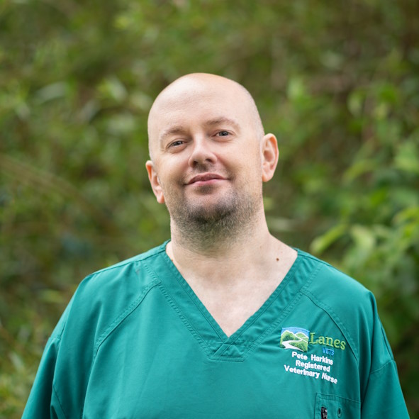 Pete Harkins
