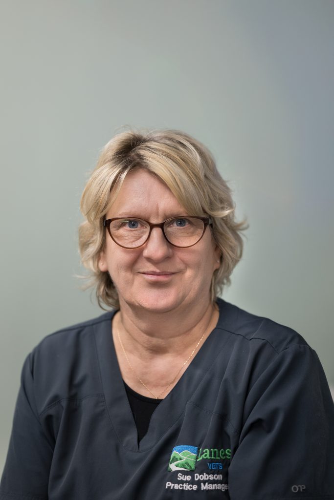 Sue Dobson