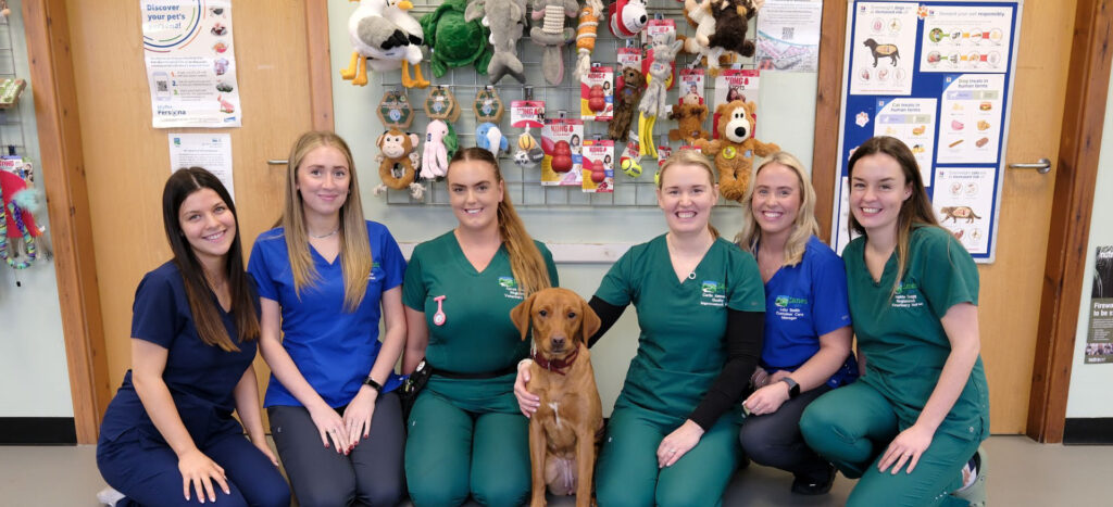 The Lanes Vets team